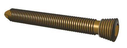 Locking Screw