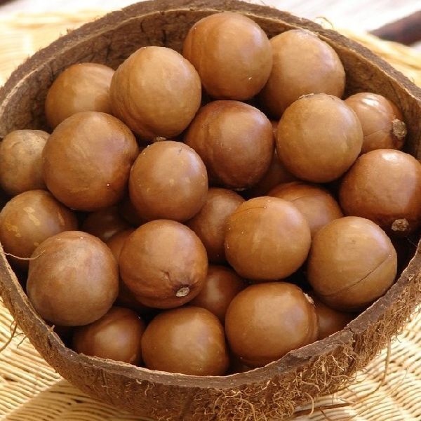 macadamia nuts