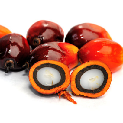 Multipurpose crude Palm oil