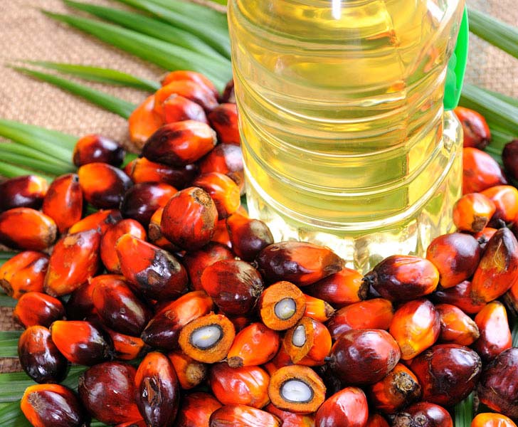 top Grade Refined Palm Oil