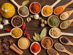 speciality spices