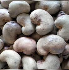 Raw cashew nuts, Packaging Size : 1kg, 2kg, 5kg