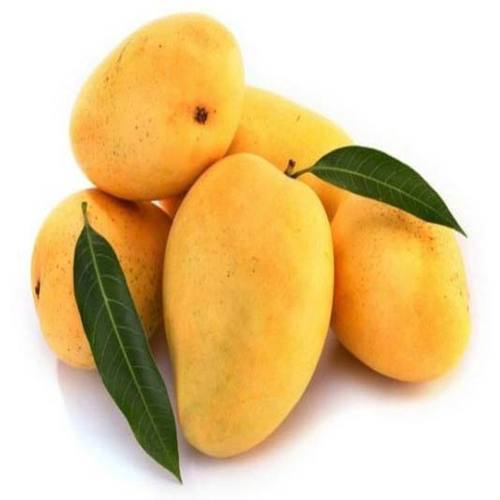 Badami Mango, Color : Yellow