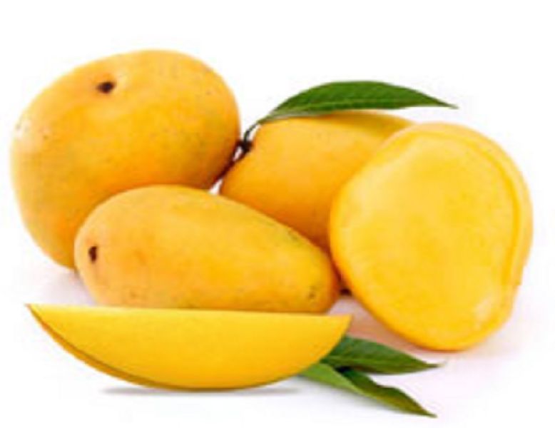 Organic Banganapalli Mango, Shelf Life : 5-10Days