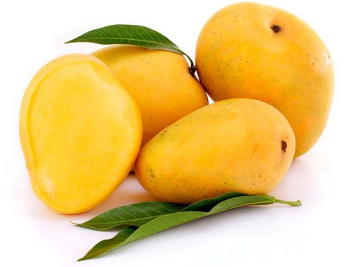 Chaunsa Mango, Color : Yellow