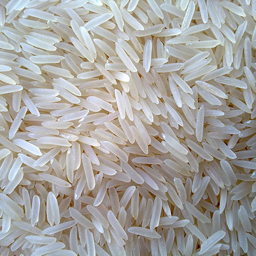 Organic 1509 Basmati Rice, for Gluten Free, High In Protein, Variety : Long Grain