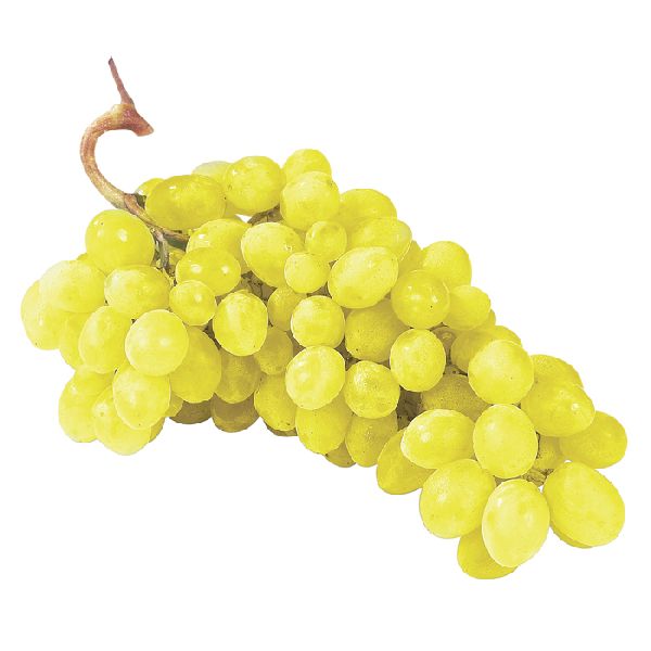 Organic Fresh Grapes, Color : Light Green