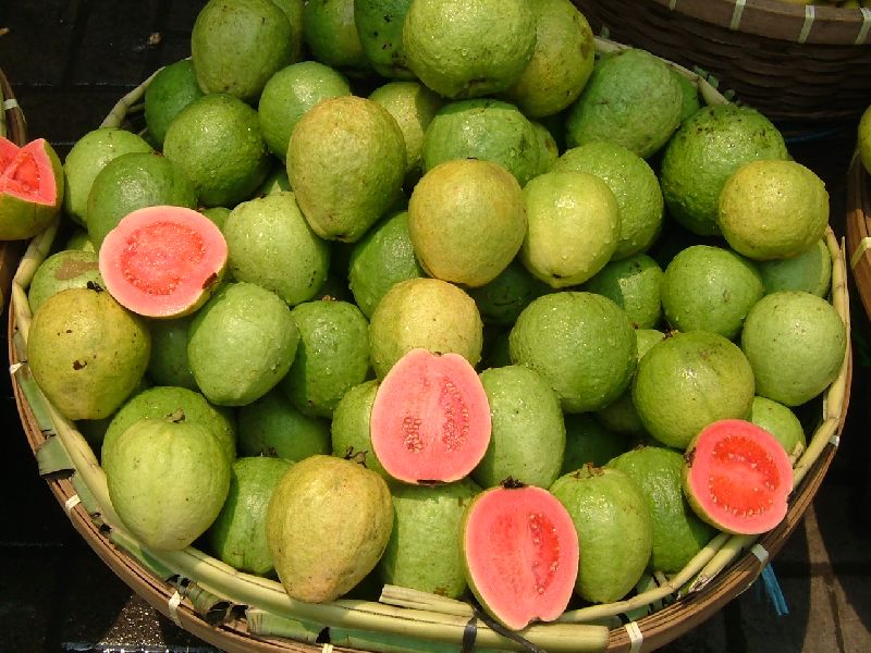 Fresh Guava, Color : Green