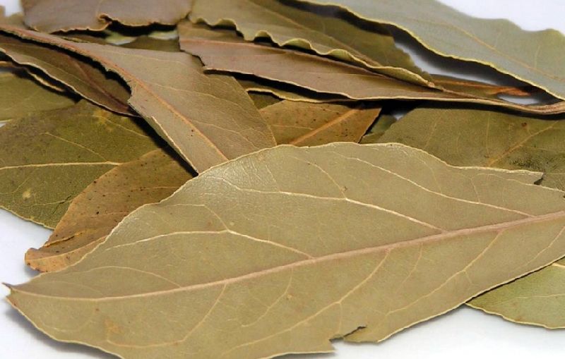 Bay Leaf, Packaging Type : Polybag