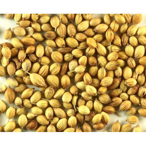 coriander seeds