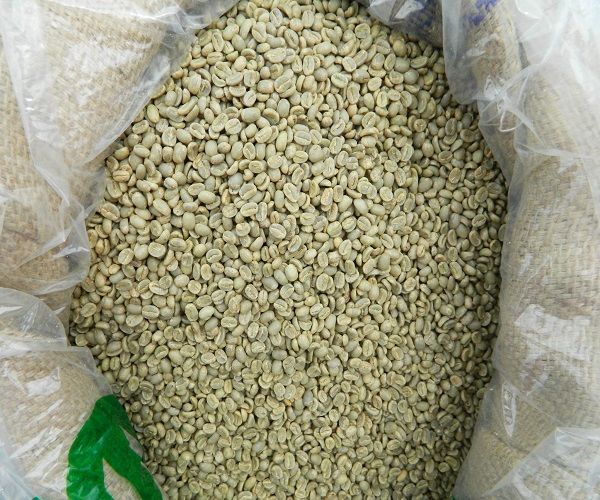 Best Grade Robusta Coffee For Sale At Good Prices