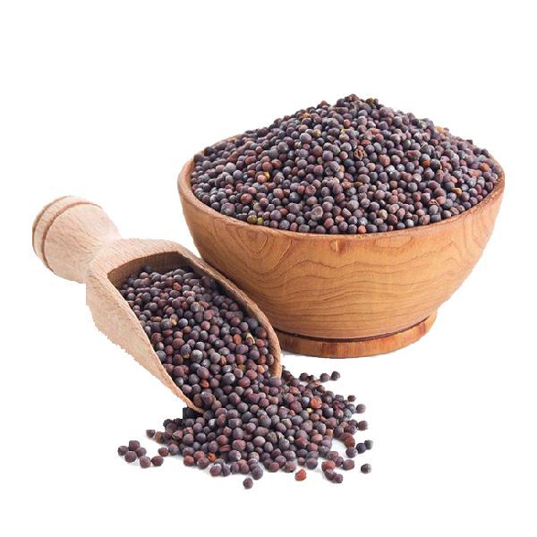 Black Mustard Seeds For Sale At Good Prices