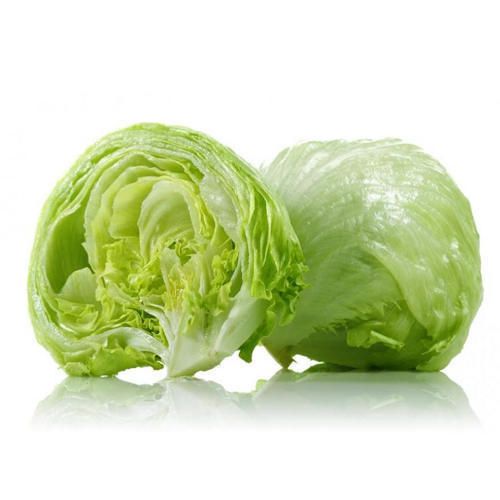 Fresh Lettuce