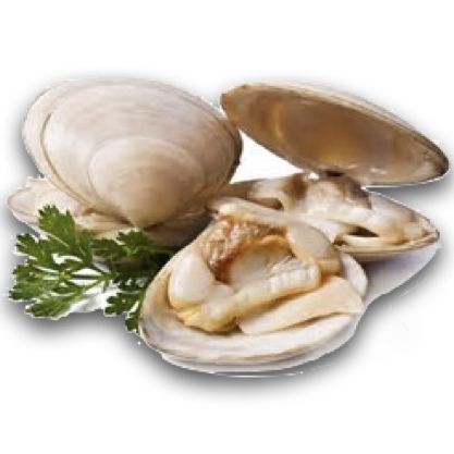 Frozen Shellfish
