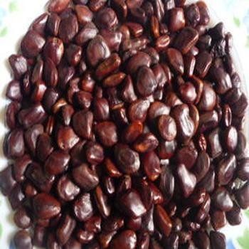Good Grade Tamarind Seeds For Sale