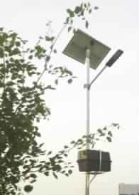 Rectengular Solar Street Lights