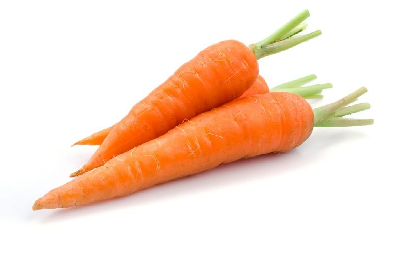 Fresh Carrot