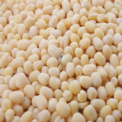 gota-urad-dal-at-rs-18-kilogram-in-pune-pisum-food-services-pvt-ltd