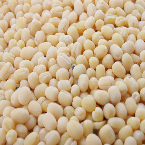 Gota Urad Dal At Rs 18 Kilogram In Pune Pisum Food Services Pvt Ltd