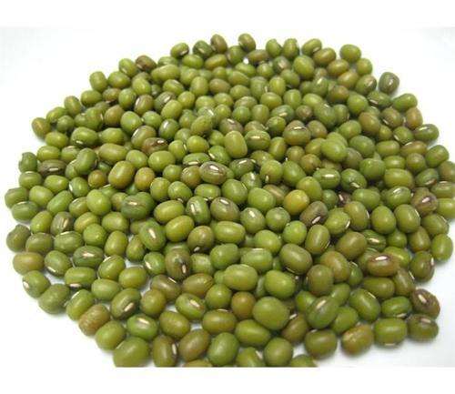 Mung Bean