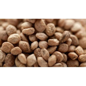 Organic Sarpagandha Seeds, Purity : 99.9%