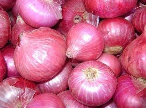 Fresh Pink Onion, Packaging Type : Jute Bags