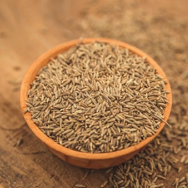 cumin seeds, Certification : FSSAI Certified at Rs 160 / Kilogram in ...