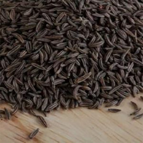 Black Cumin Seeds, Purity : 99.9%