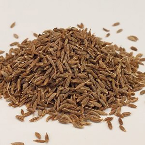 cumin seed