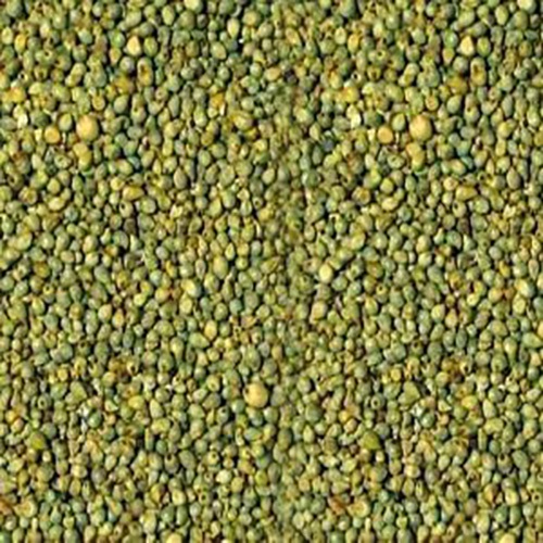 Green MILLET,green millet