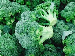 fresh broccoli