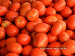 Fresh Tomato, for Cooking, Packaging Size : 5-20kg
