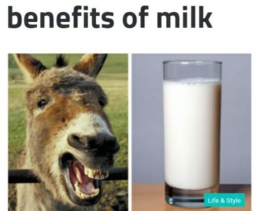 Donkey milk, for Medicine Use, Form : Liquid