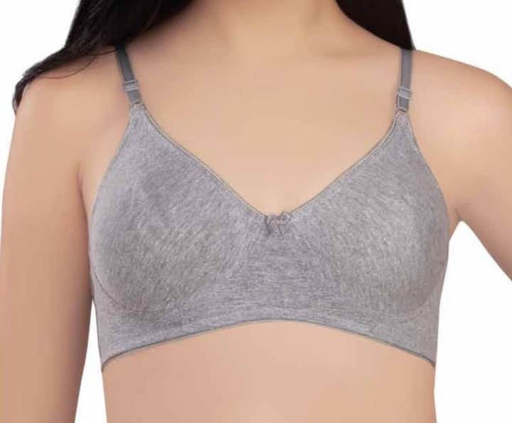 Plain Cotton Lace Padded Bra at Rs 55/piece in New Delhi