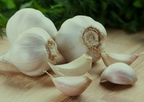 garlic