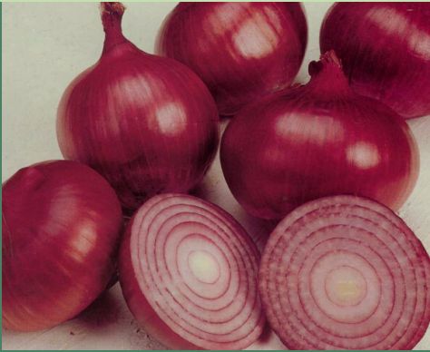 Fresh red onion, Packaging Size : 10kg, 20, 25kg, 5kg