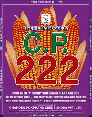 C.P. 222 Hybrid Maize Seeds, Packaging Type : PP Bag