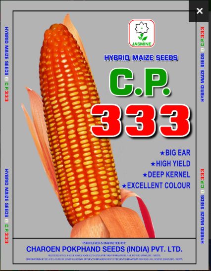 C.P. 333 Hybrid Maize Seeds