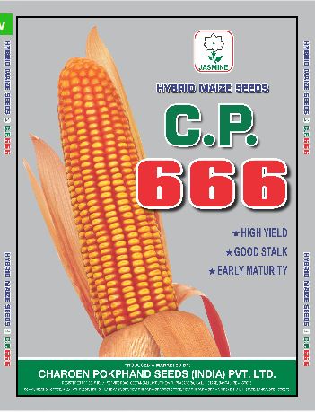 C.P. 666 Hybrid Maize Seeds