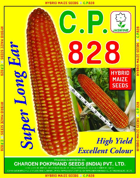 C.P. 828 Hybrid Maize Seeds, Packaging Type : PP Bag