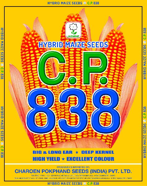 C.P. 838 Hybrid Maize Seeds, Packaging Type : PP Bag
