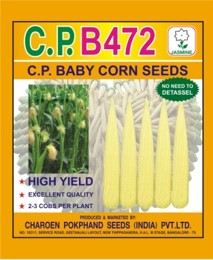 C.P. B472 Baby Corn Seeds, Packaging Type : PP Bags