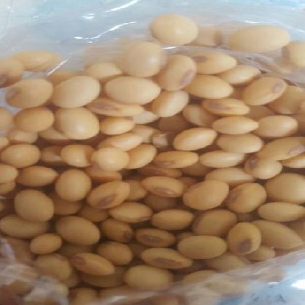 Apricot Seed, Mung bean, Soybean seeds