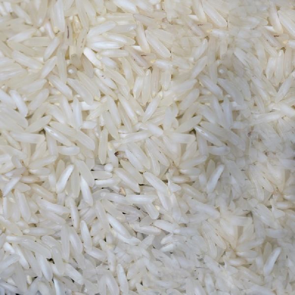 Soft Organic Raw Non Basmati Rice, for High In Protein, Variety : Long Grain, Medium Grain, Short Grain