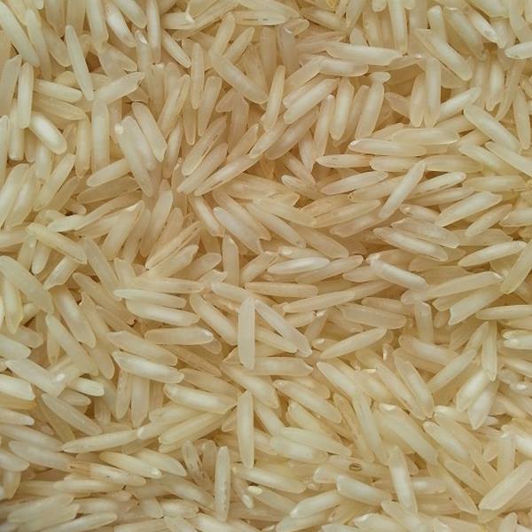 Soft Organic Sugandha Basmati Rice, for High In Protein, Packaging Type : 10kg, 20kg