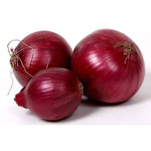 Wheelco India Organic fresh red onion, Packaging Type : Plastic Packet