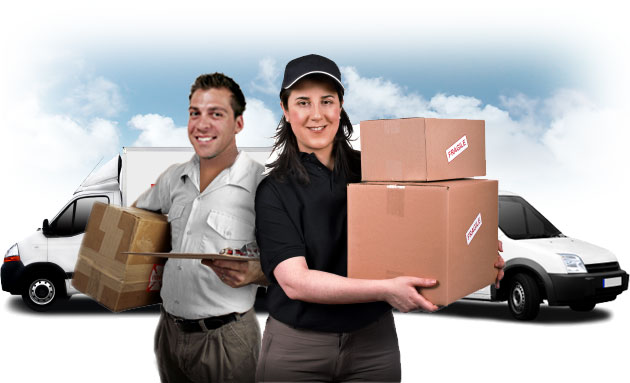 International Parcel Service