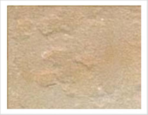Camel Buff Brown Sand Stone