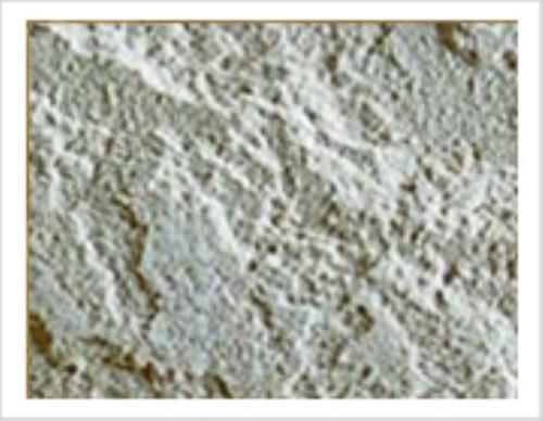 Dholpur Beige Sand Stone