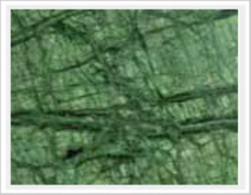 Green Polished Marble Slab